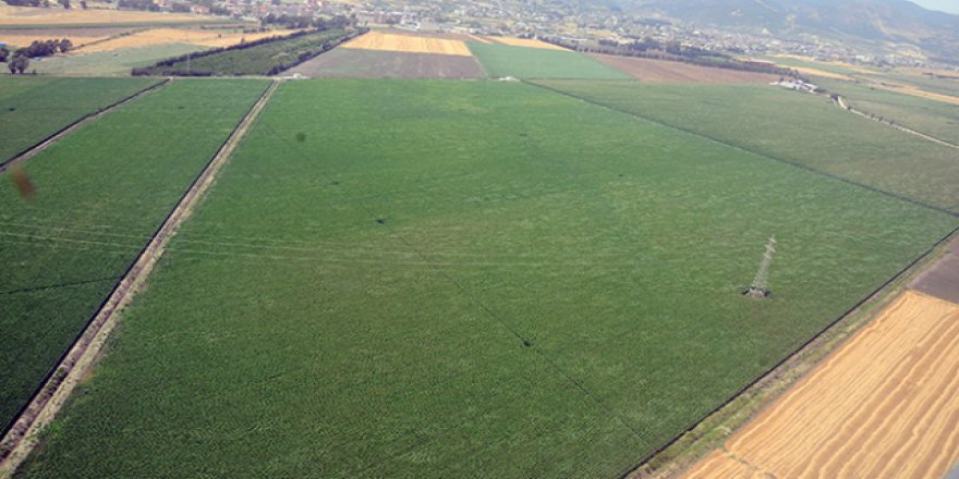 İstanbul ve Hatay'daki ovalar koruma altına alındı