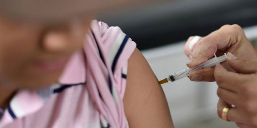 Brezilya'da sarı humma salgını büyüyor