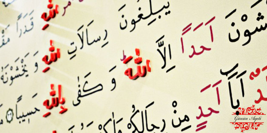 Yeryüzünde debelenen hayvanların Allah katında en kötüsü