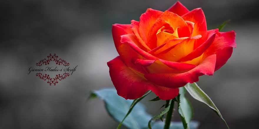 Lüks yaşamaktan sakın çünkü...