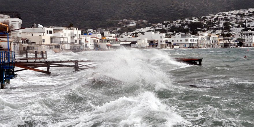 Bodrum'da fırtına ağaçları devirdi