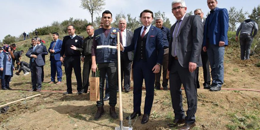 Manisa'da 'Zeytin Dalı Harekatı şehitleri' için zeytin fidanı dikildi