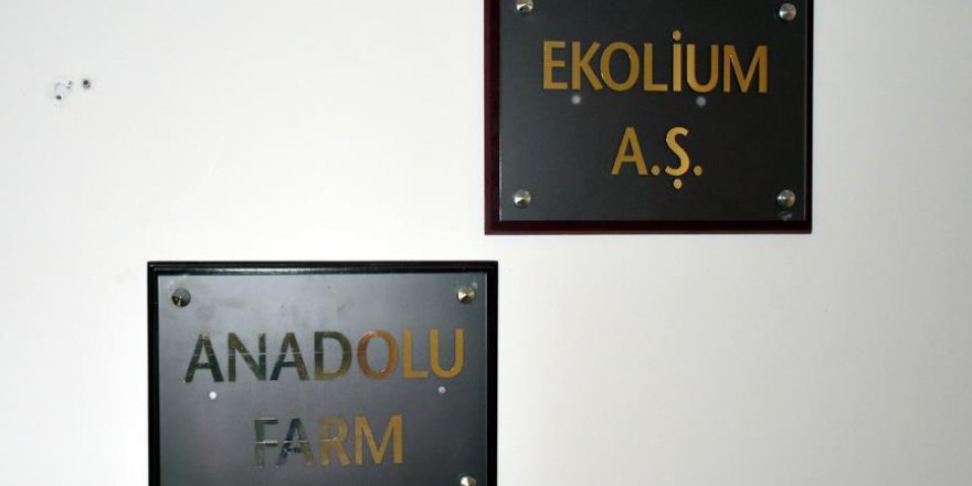 Kayseri'deki 'Çiftlik Bank benzeri' firmaya operasyonda bir kişiye daha gözaltı