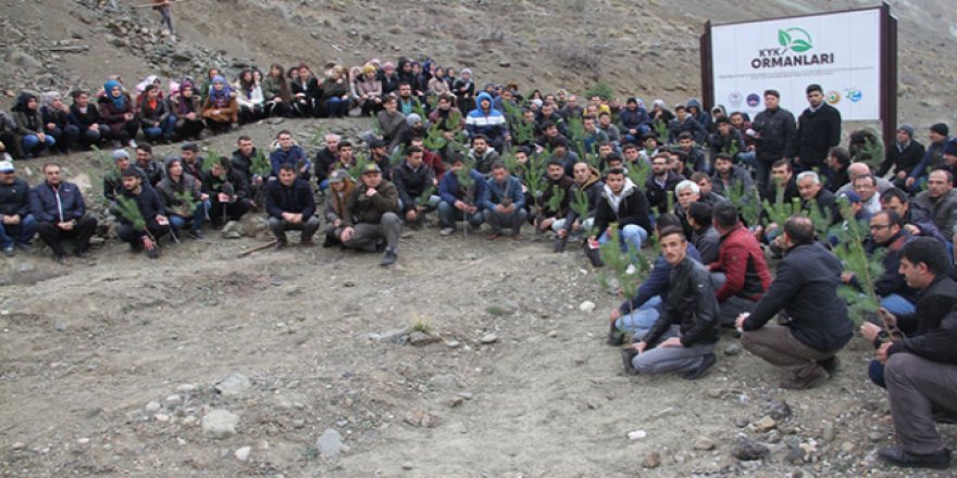 Öğrenciler Afrin şehitleri için 49 fidan dikti