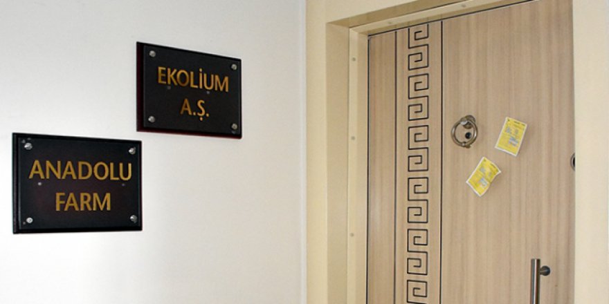 Anadolu Farm'ın 8 ayda 90 milyon lira topladığı belirlendi