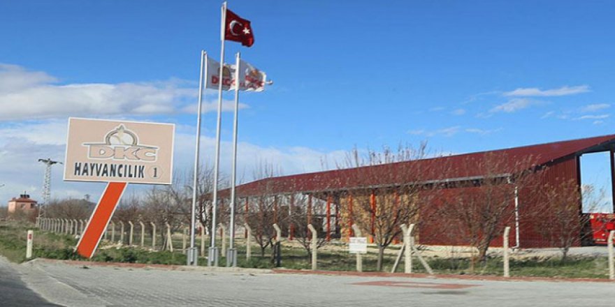 Sütbank mağdurlarına "hayvan yemi" ile ödeme