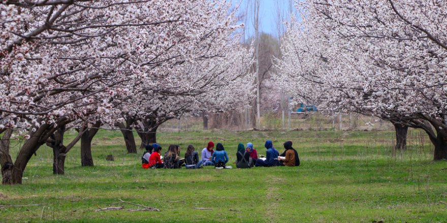 Teknoloji bağımlılığına karşı kitap okuyorlar