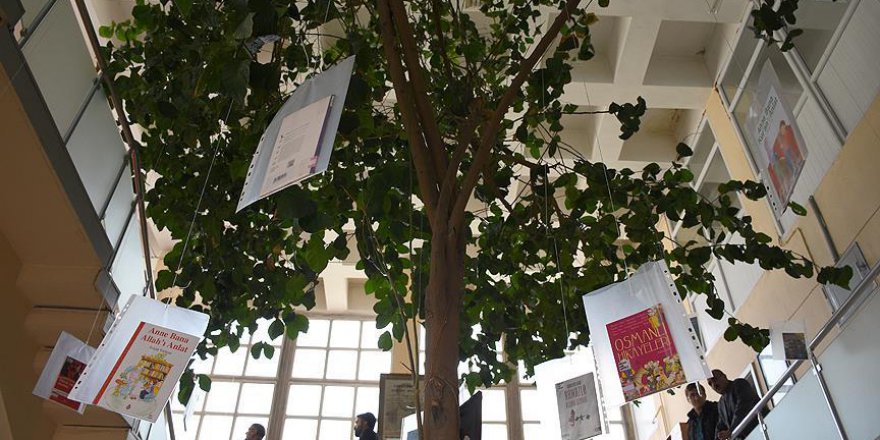 Limon ağacı altında okuma keyfi