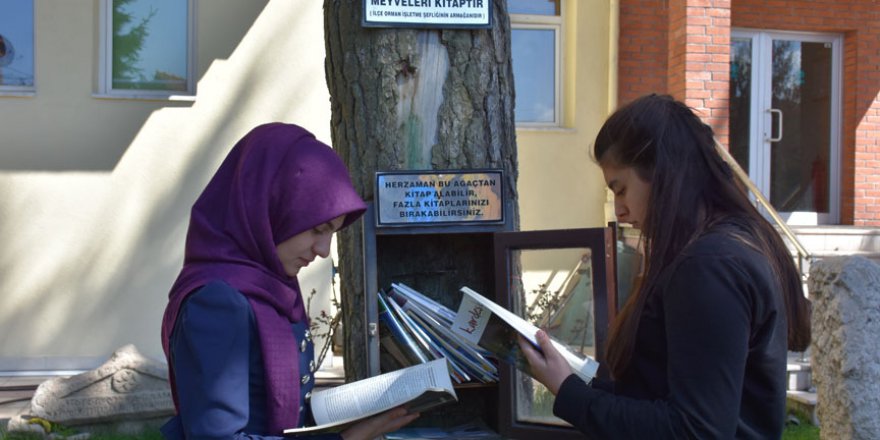 'Ağaç Kütüphane' hiç kapanmıyor