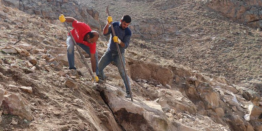 Ağrı Dağı'nın taş işçileri ekmek parası için ter döküyor