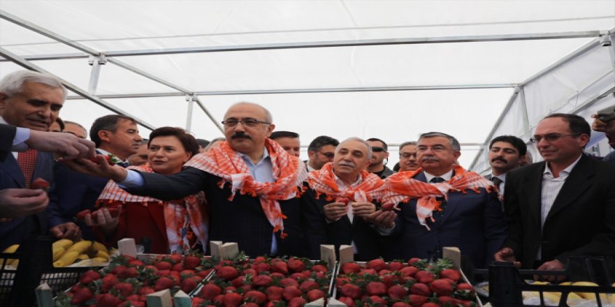 Koyun ve keçi yetiştirenlere sertifika verildi