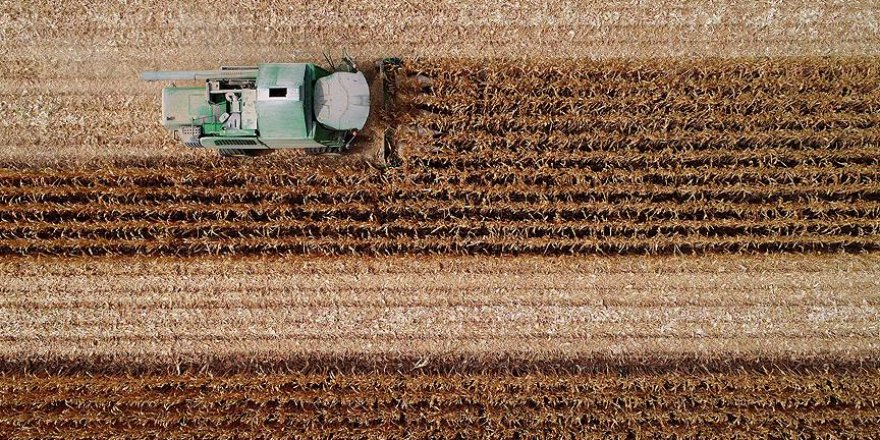 Çiftçilik ve hayvancılığın önemi, Coronavirus sürecinde çok daha iyi anlaşıldı