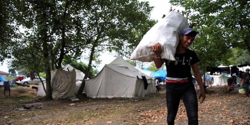 Mevsimlik tarım işçilerinin sorunları çözülüyor