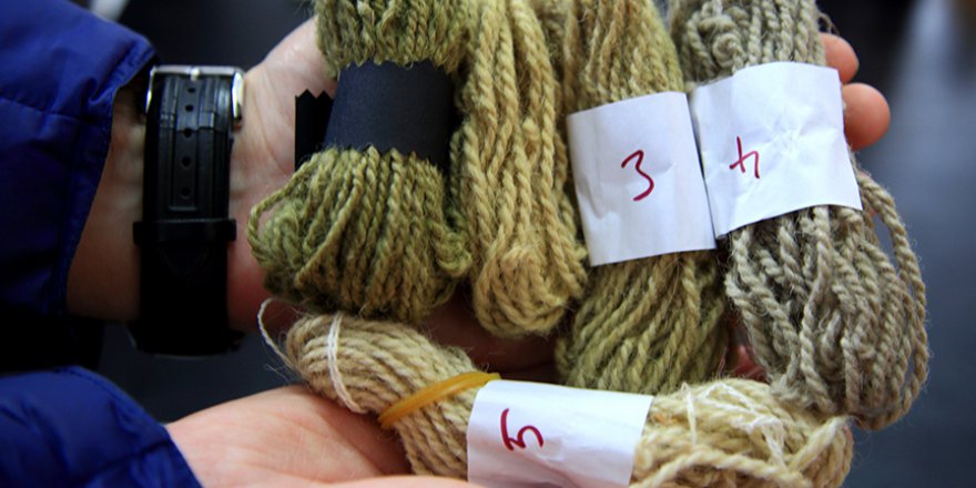 Giresun'da Isırgan otundan boya ürettiler