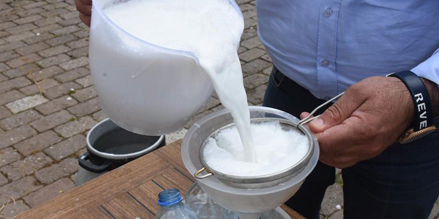 Aydın'da şifalı süt yoğun ilgi görüyor