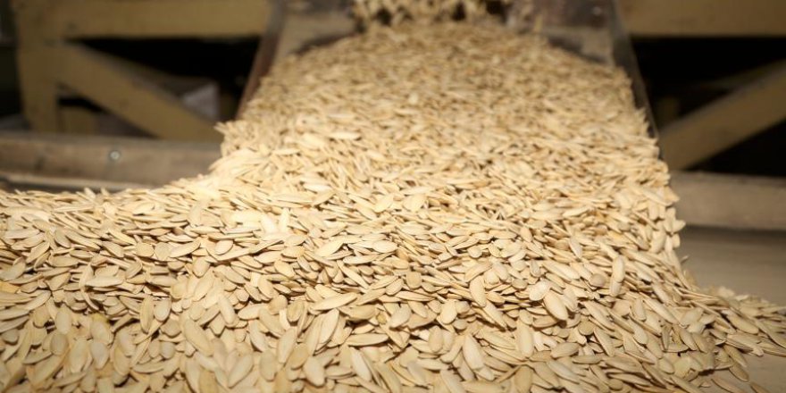 Çekirdek kansere zemin hazırlıyor