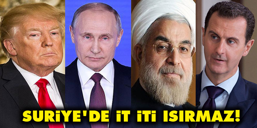 Mustafa Özcan: Suriye'de it iti ısırmaz!