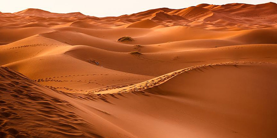 Çölde ilk insana ait olduğu sanılan parmak bulundu