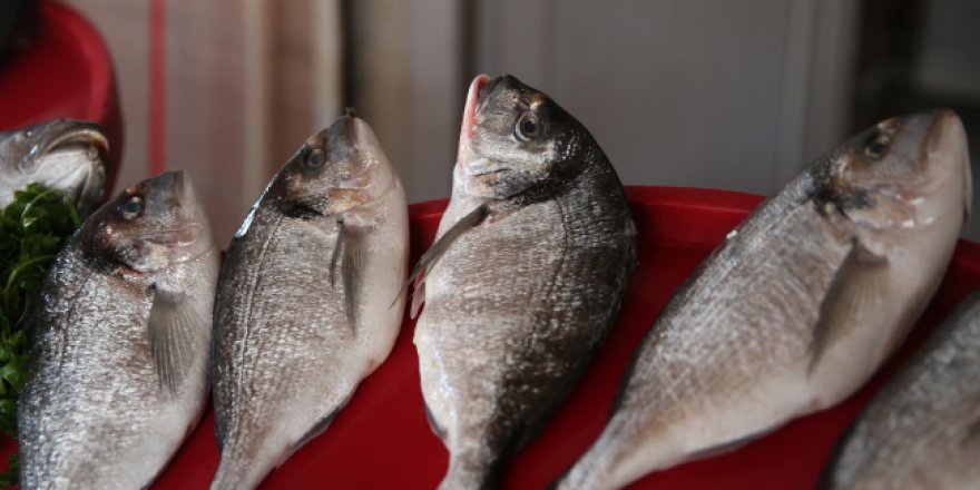 Şanlıurfa'da balık üretimi de yüksek