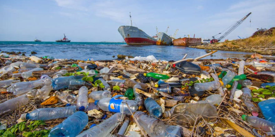 Mikroplastiklerin insan sağlığına zararları neler?