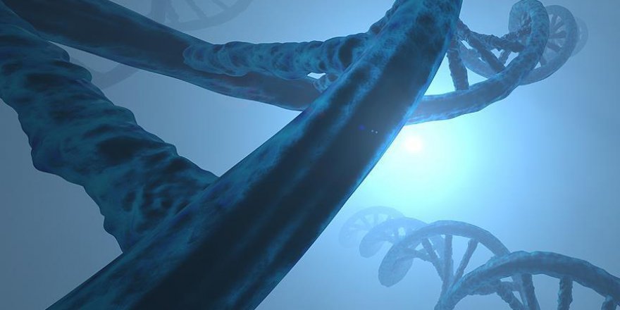 Saç rengimiz 124 farklı genle ortaya çıkıyor