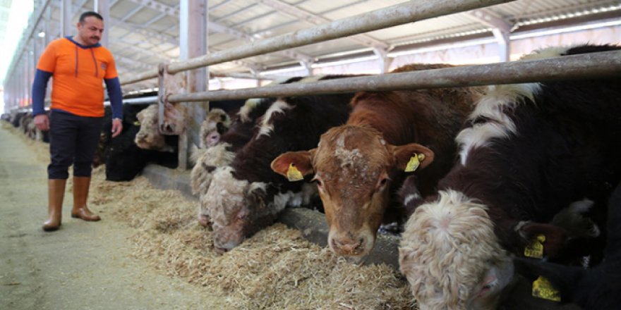 Cezaevi'nde meslek sahibi oluyorlar