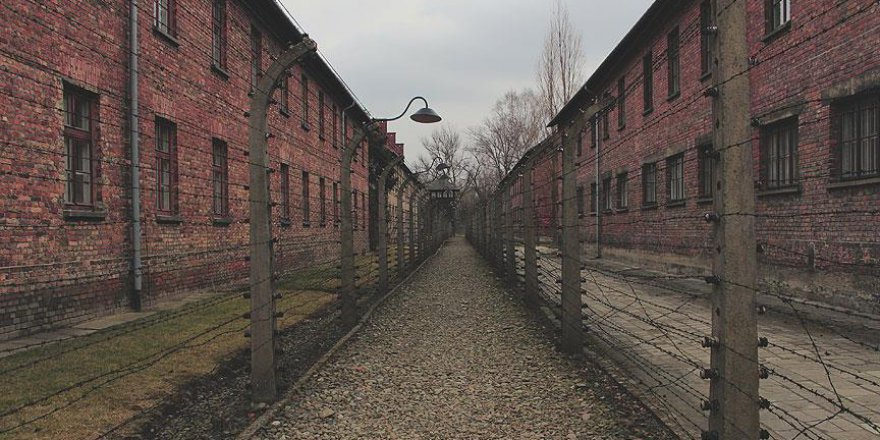 Nazilerin 'ölüm' programında 'Asperger' izi