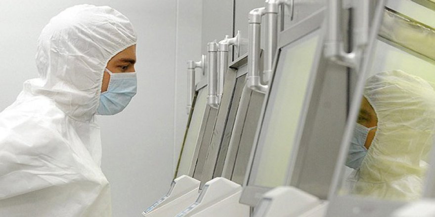 Kanserin vücutta yayılmasına yol açan hücreler tespit edildi