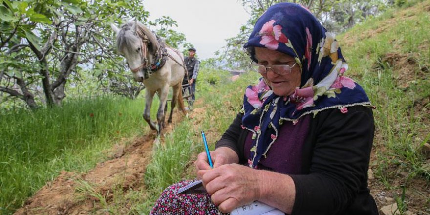 Dersi evde ödevi tarlada yapıyor