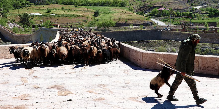 Göçerlerin asırlardır süren çileli yolculuğu