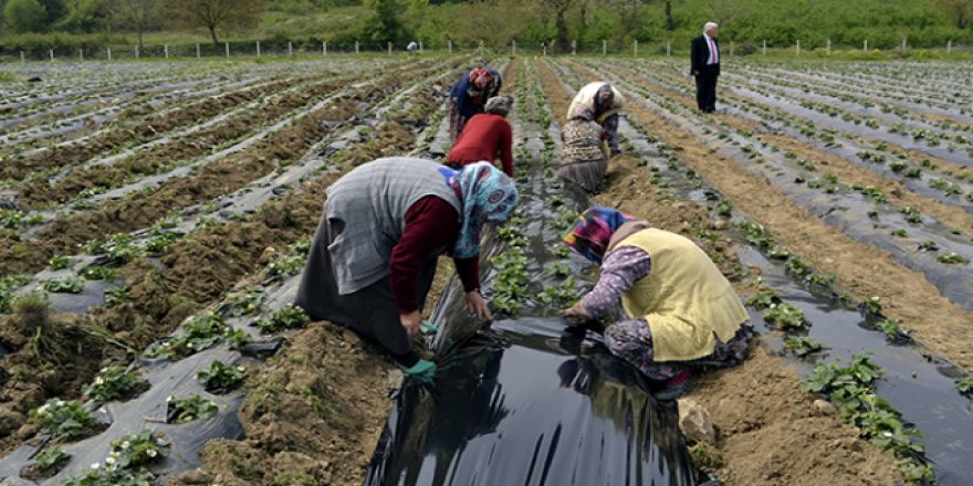 Islah edilen çöplük üretime ve istihdama katkı sağlıyor