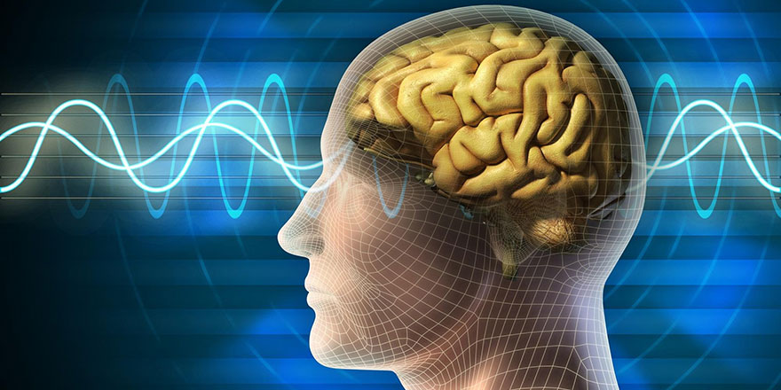 Risale-i Nur’da 'dimağ' kavramı