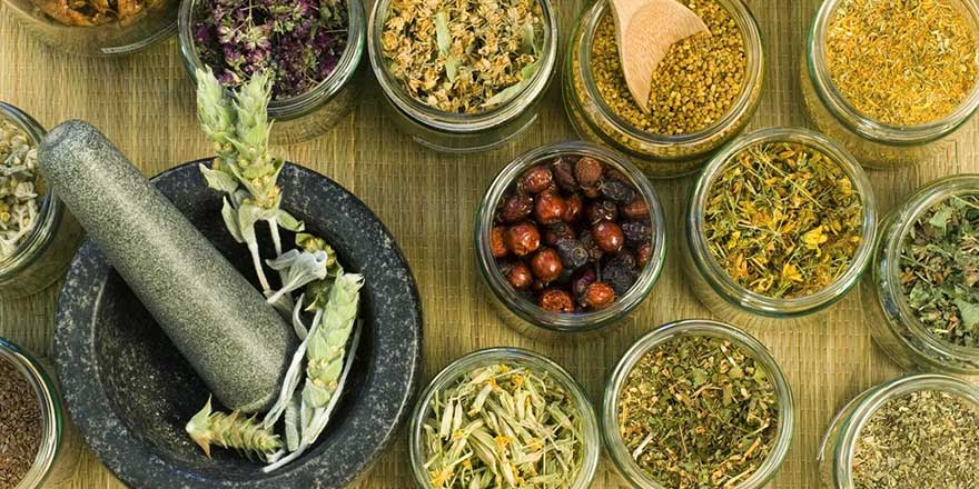 İdrar yollarındaki enfeksiyon ve iltihabı söken çaylar