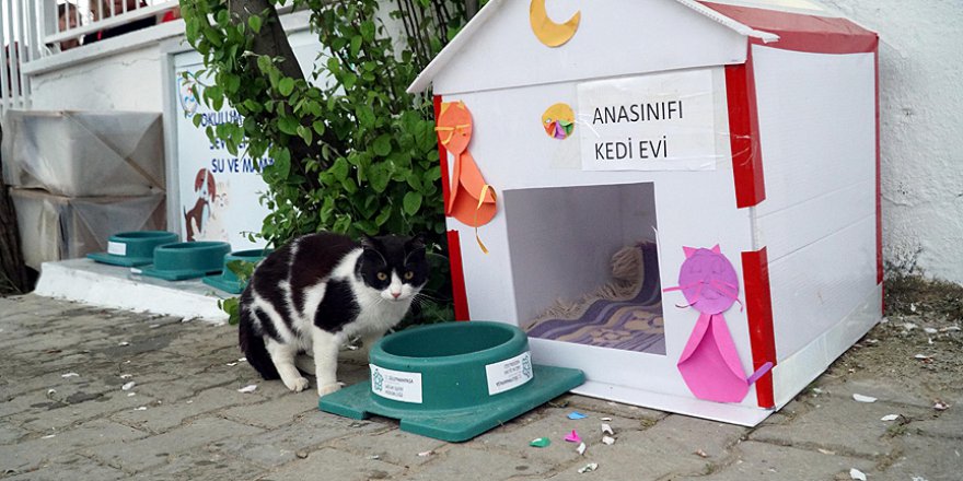 Harçlıklarıyla aldıkları mamaları sokak hayvanlarına dağıtıyorlar