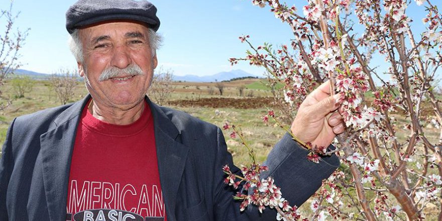 Taşlık alanı badem bahçesine dönüştürdü