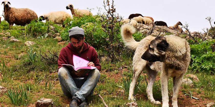 KPSS'ye merada hazırlanıyor