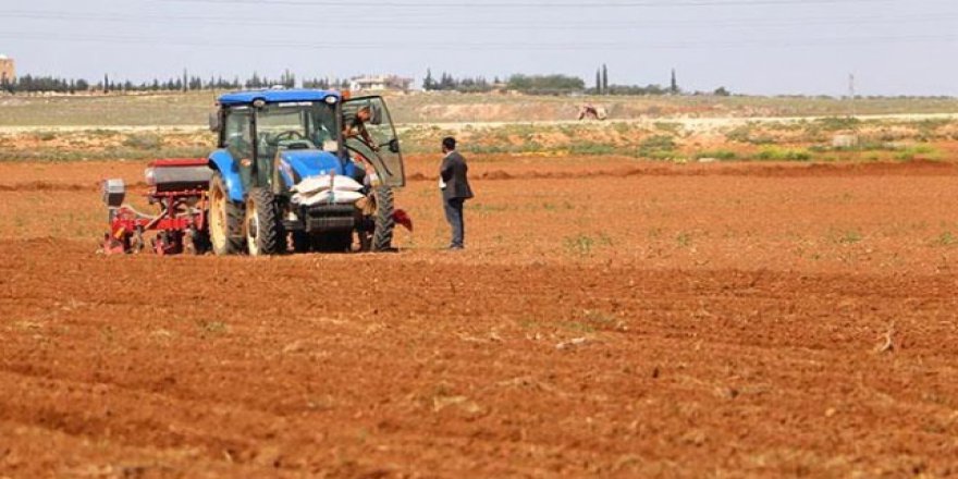 Muş bu proje ile Hollanda'yı sollayacak