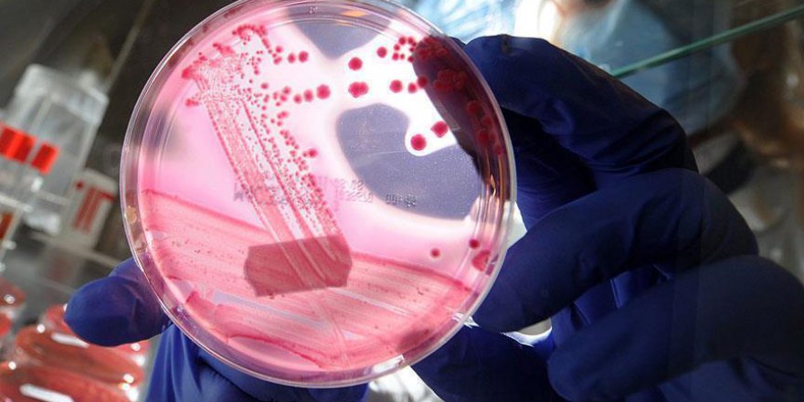 Türkiye'de ilk kez yapılan ameliyatla sağlığına kavuştu