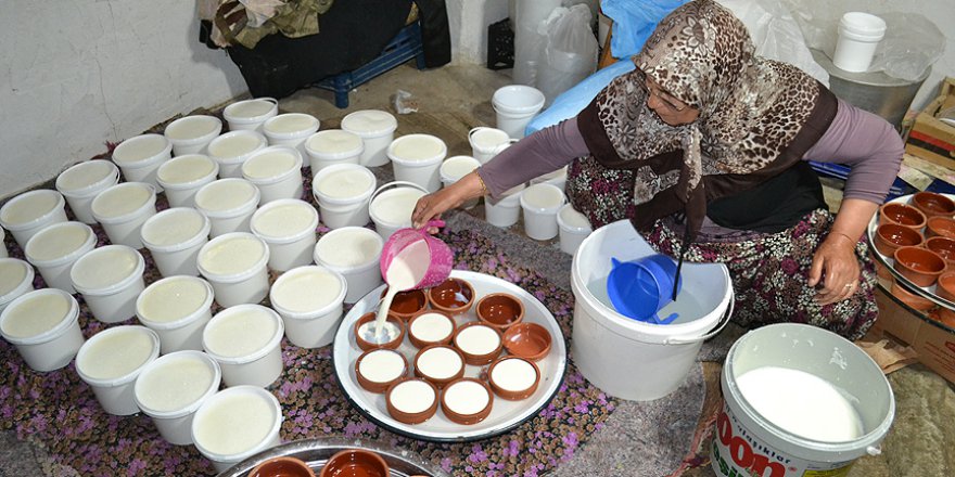Yarım asırlık çiftin zorlu yoğurt mesaisi