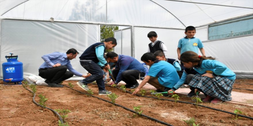 Öğrenciler tarım ve hayvancılıkla iç içe eğitim görüyor