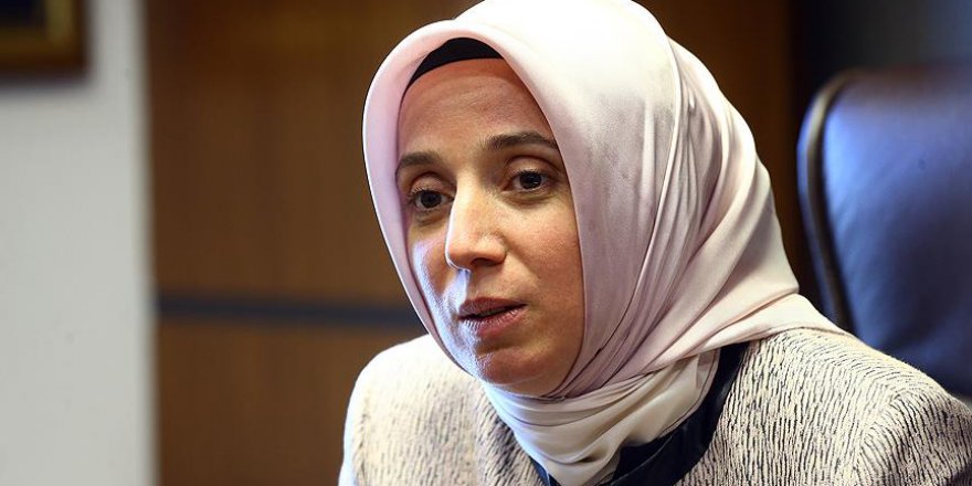 Belçika'nın Başkentinde Türkiye'nin terörle mücadelesi anlatılacak