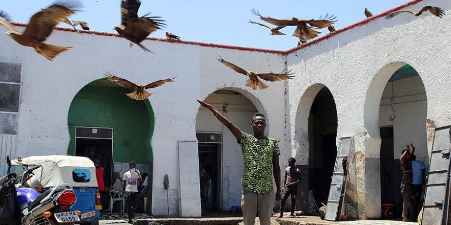 Etiyopya'nın evliyalar şehri Harar