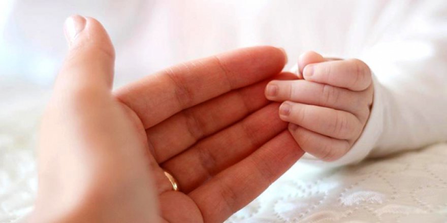 Yaşamın ilk döneminde annesiz kalmak, beyin fonksiyonlarını olumsuz etkiliyor