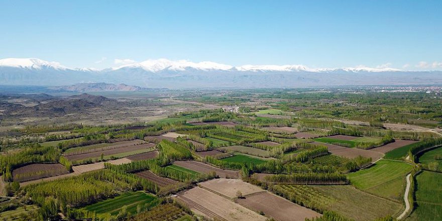 Türkiye'nin yüzde 63'ünü erkekler, yüzde 37'sini kadınlar 'parselledi'