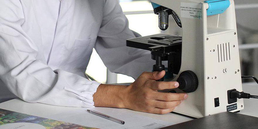 Alzaymıra çare olacak: Hafıza transferi yapıldı