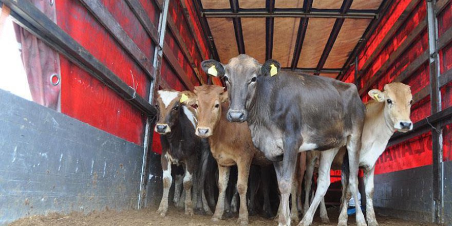Bartınlı genç çiftçilerin yüzü desteklerle gülüyor