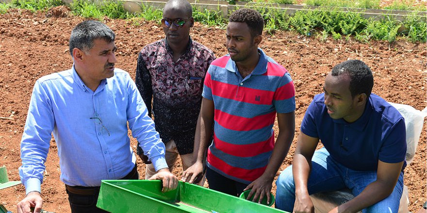 Somali'ye tarımı Türkiye öğretiyor