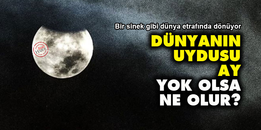 Dünyanın uydusu Ay, yok olsa ne olur?