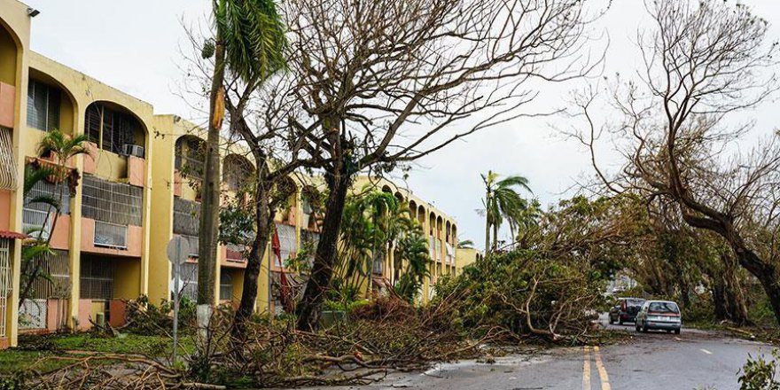 Porto Riko'yu kasırga vurdu