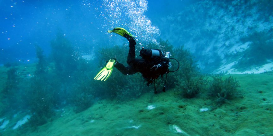 AFAD dalgıçlarından gönüllü temizlik